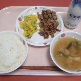 １１月１４日（金）