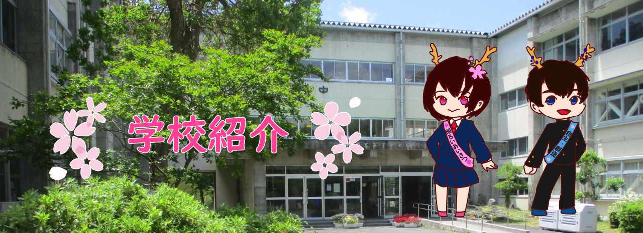 学校紹介