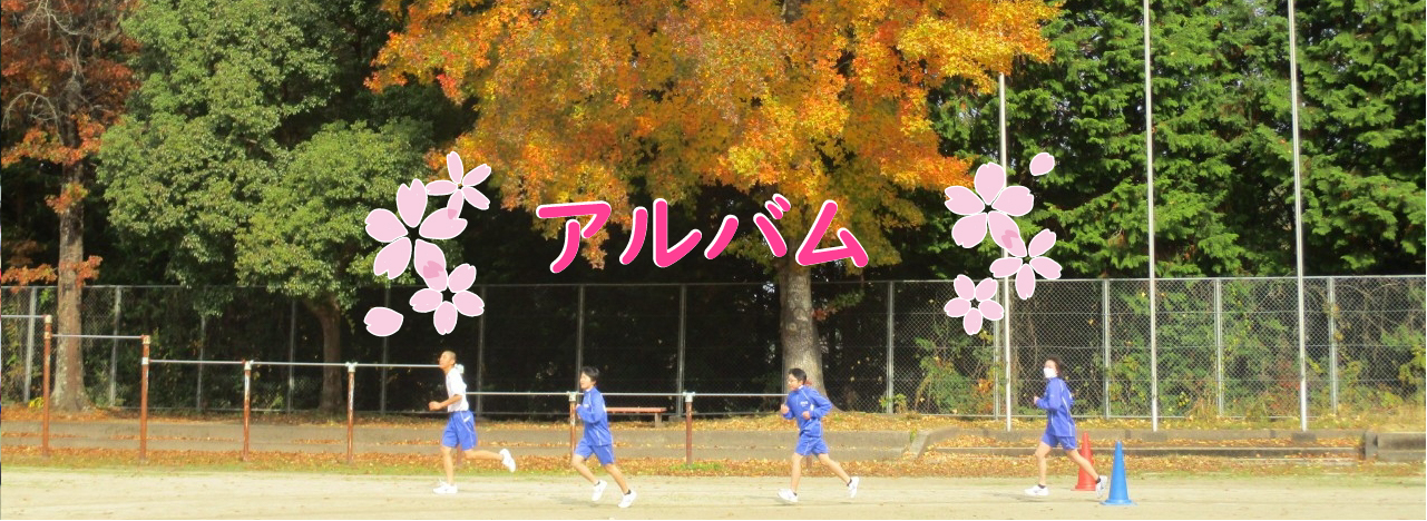 アルバム